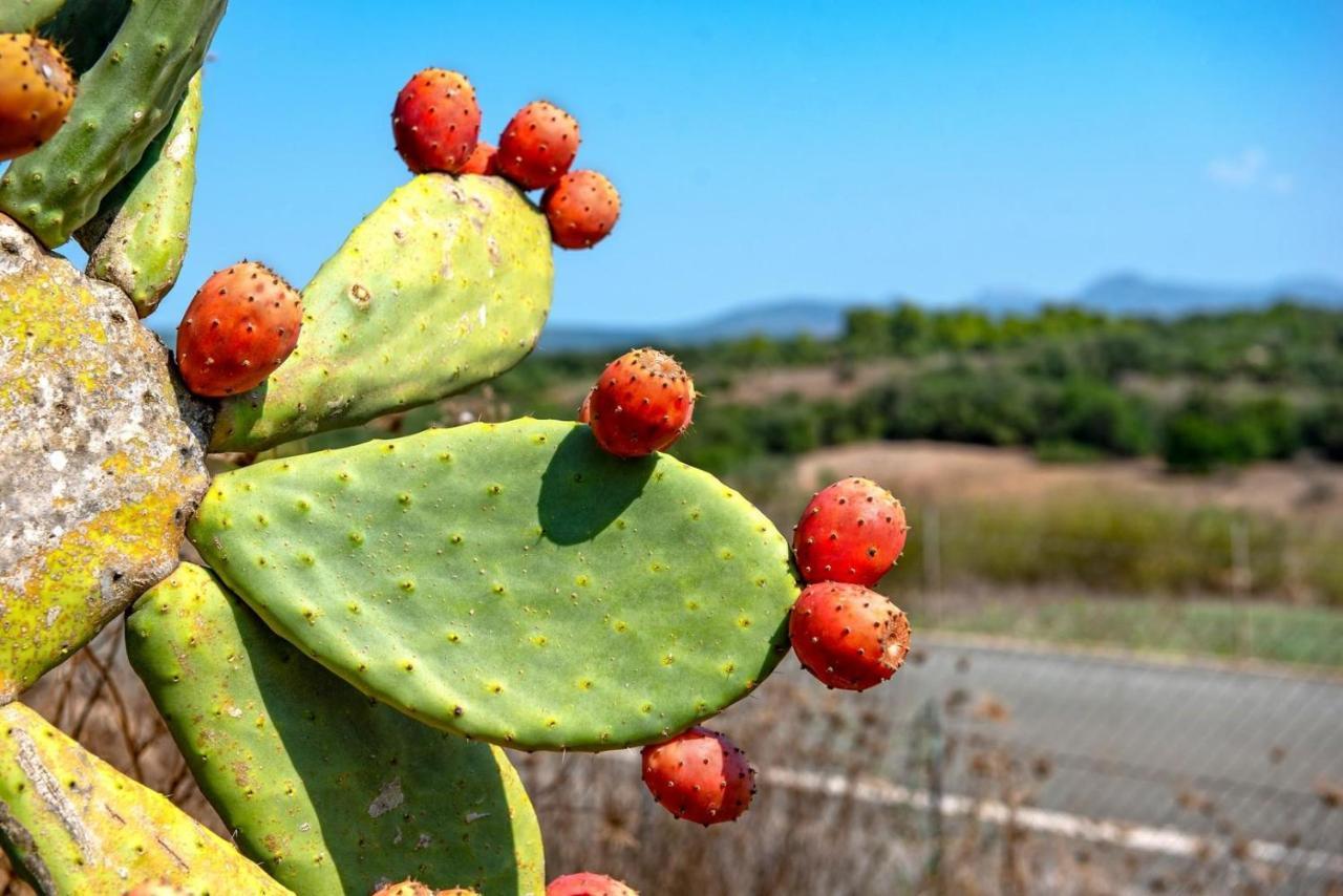 Sa Franquesa Vella Villa Manacor  Buitenkant foto
